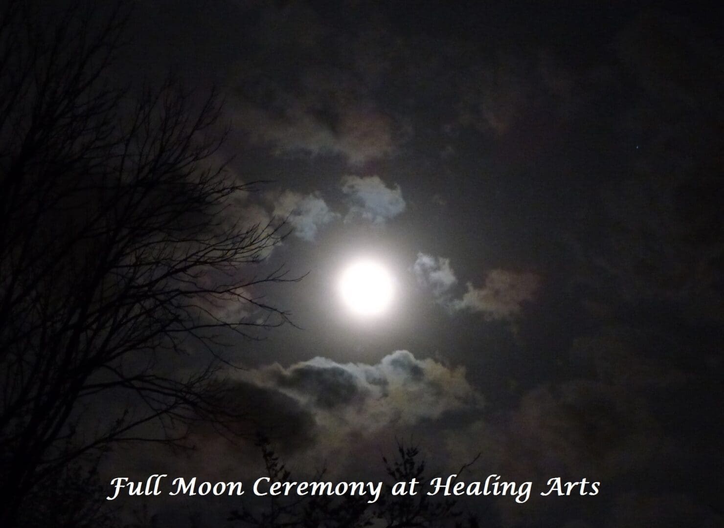 A full moon with clouds and trees in the background.