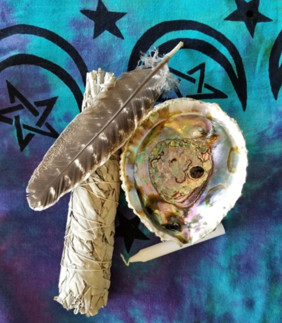 A feather in a shell on top of a blue and purple background.