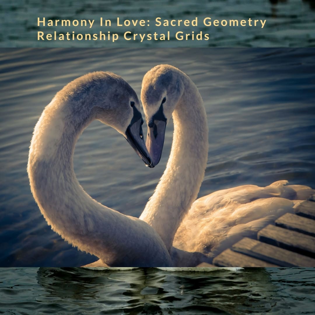 A swan is swimming in the water with its wings spread.